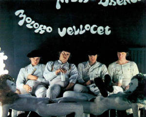 droogs2.jpg